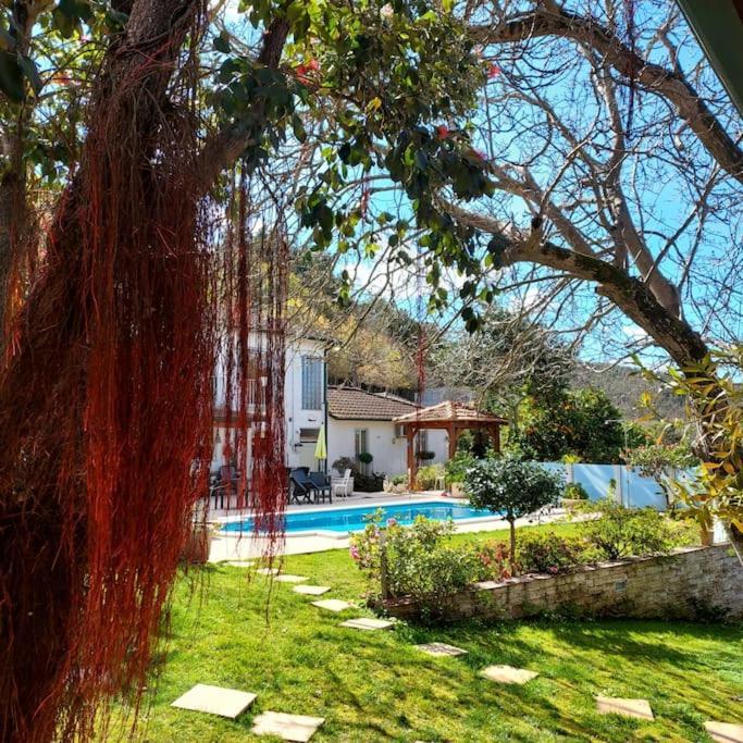 Casat5, Ferias, Piscina Privativa. Agueda, Aveiro Villa Ngoại thất bức ảnh