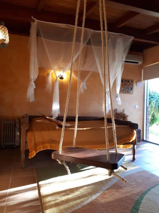 Casat5, Ferias, Piscina Privativa. Agueda, Aveiro Villa Ngoại thất bức ảnh