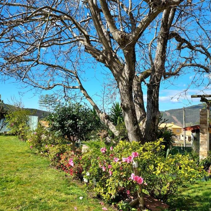 Casat5, Ferias, Piscina Privativa. Agueda, Aveiro Villa Ngoại thất bức ảnh