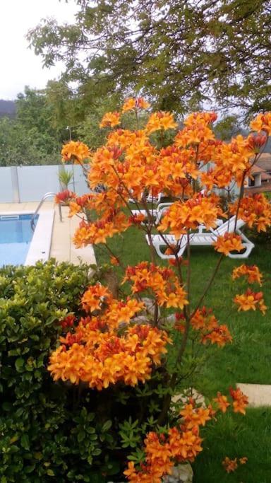 Casat5, Ferias, Piscina Privativa. Agueda, Aveiro Villa Ngoại thất bức ảnh